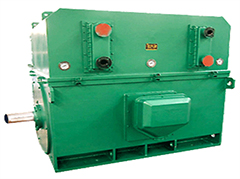 YKS高壓電動(dòng)機(jī)