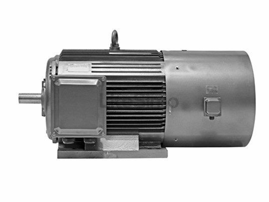 變頻電機